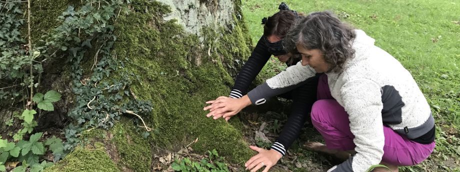 deux femmes touchent un arbre