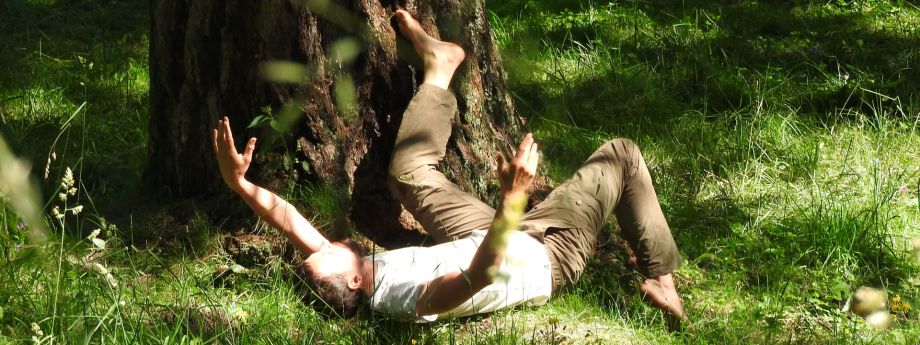 un homme danse avec un arbre