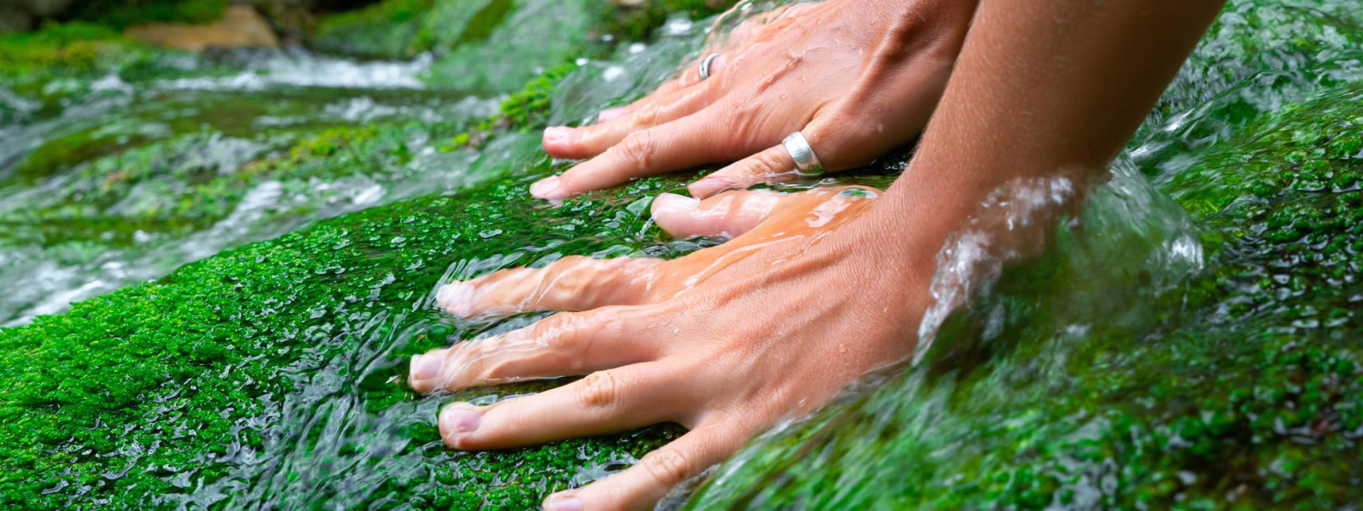 mains dans la mousse mouillée